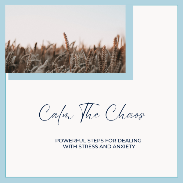 "Calm The Chaos" Powerful steps for dealing with stress and anxiety!